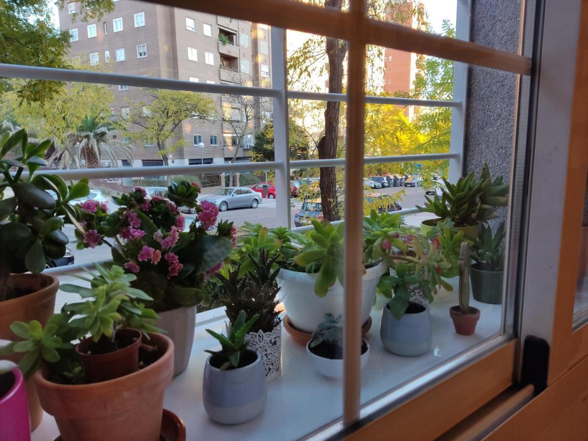 El Pozo-villalobos Appartement Madrid